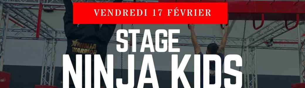 Stage Ninja 