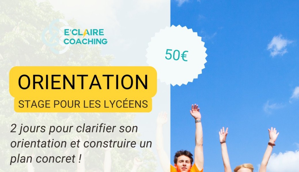 Stage : Orientation scolaire (lycéens)