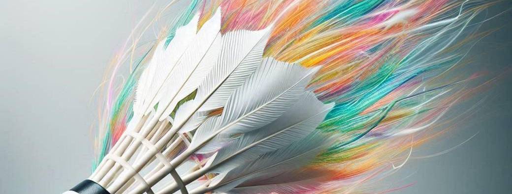 Stage Padel Spot et/ou St Yrieix