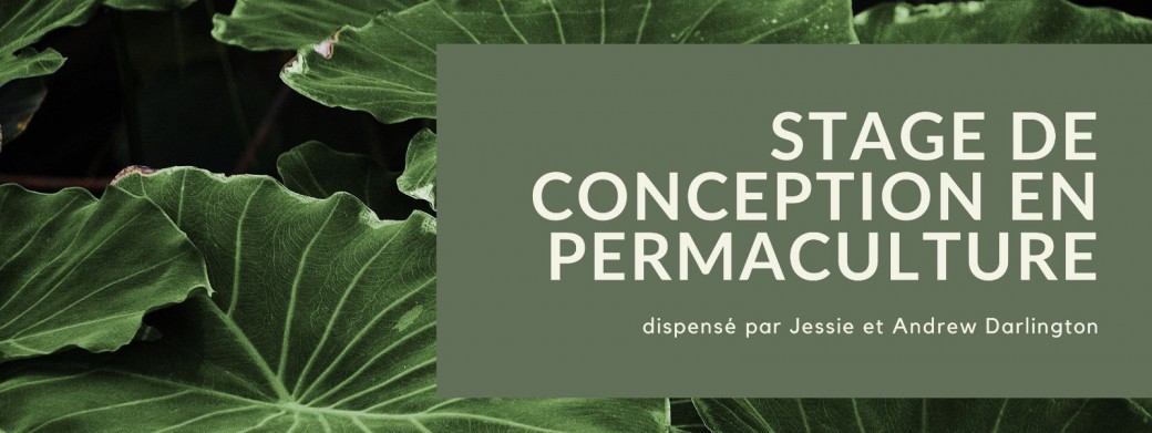 Stage de Conception en Permaculture (PDC)