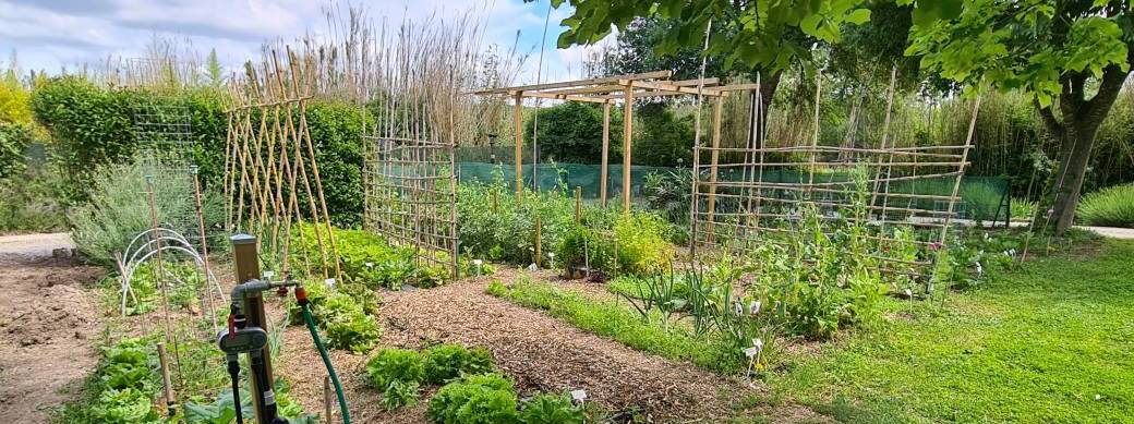 Stage Permaculture - Initiation au potager à Cabriès