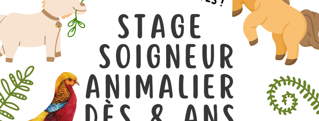 Stage petit soigneur 