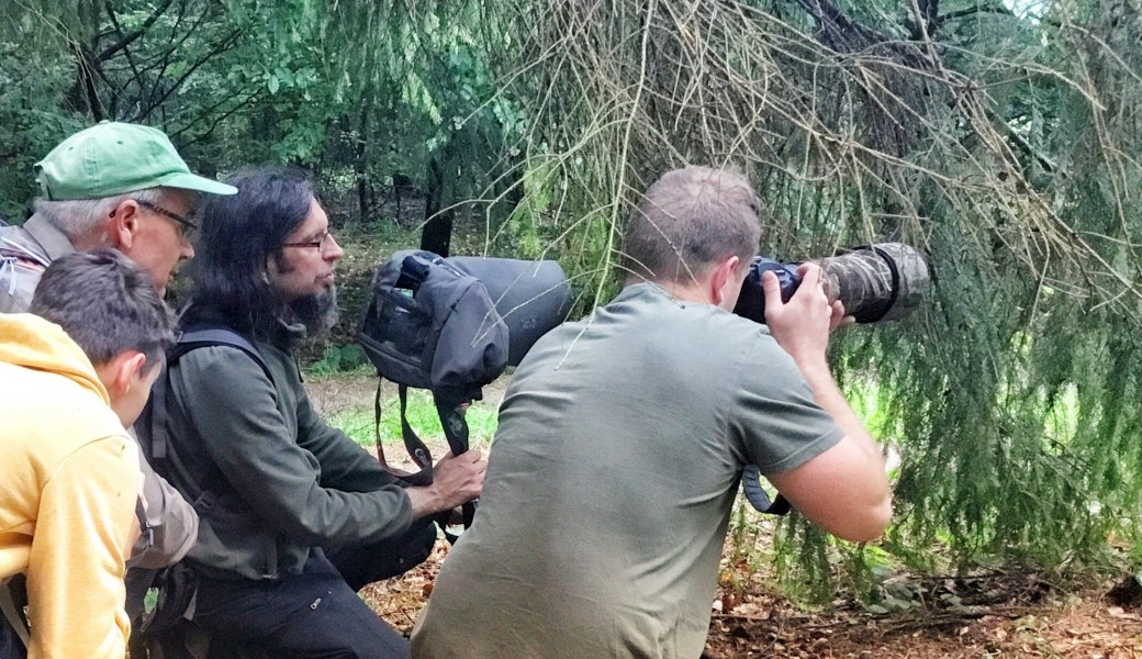 Stage Photo Nature avec Nicolas Le Boulanger