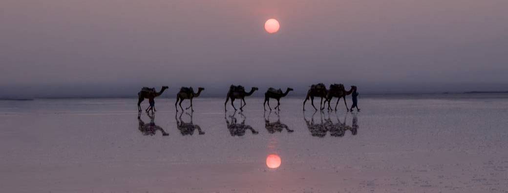 Stage photos : Préparez votre voyage, de la photo au storytelling