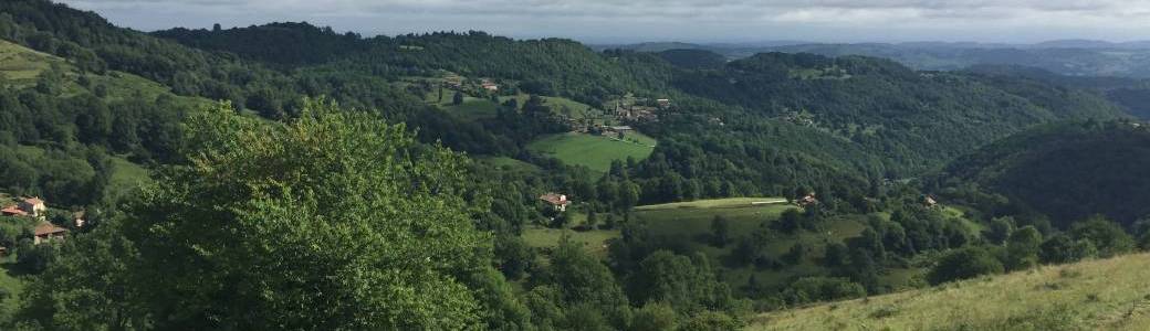 Stage Plantes comestibles en Ariège