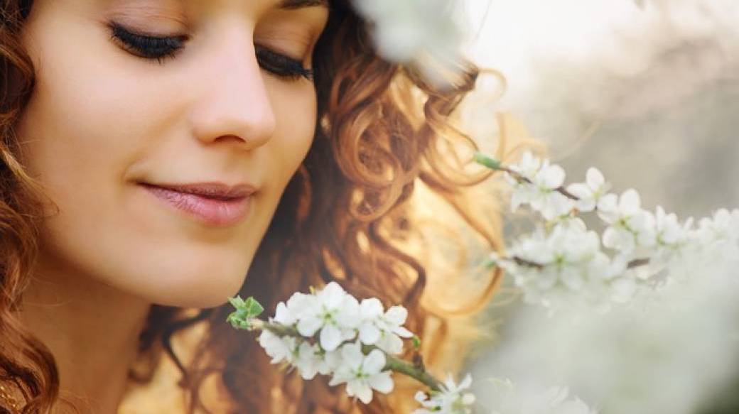 STAGE Plantes sauvages médicinales spécial DETENTE et SOMMEIL