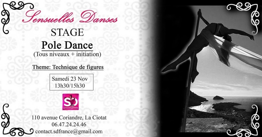 Stage Pole Dance (tous niveaux + initiation)