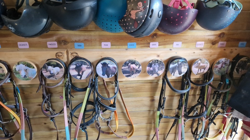 Stage Poney Club - Vacances de La Toussaint 2025