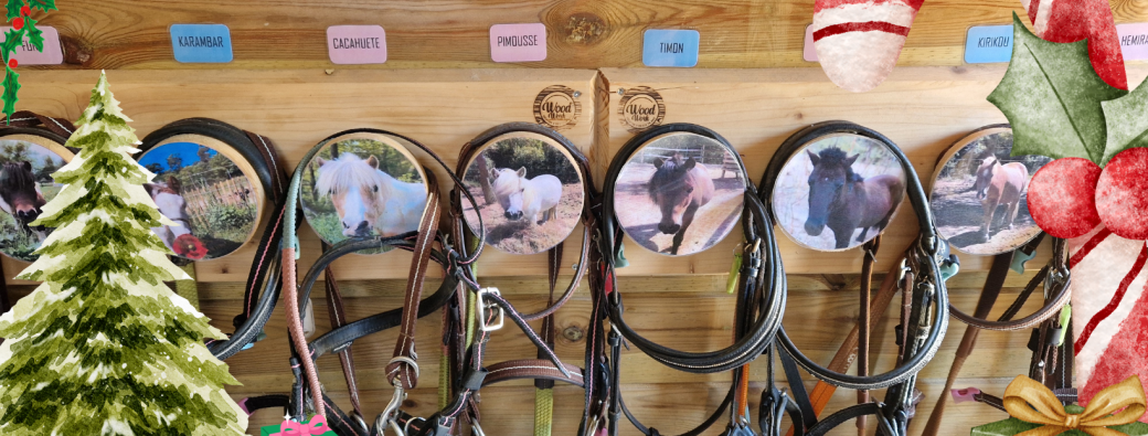 Stage Poney Club - Vacances de Noël 2025