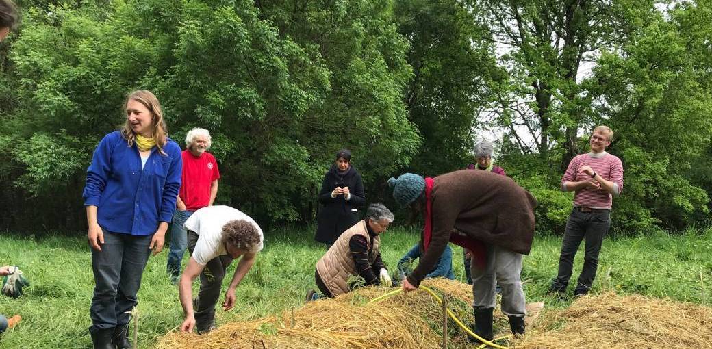 Stage pratique : le design en permaculture 