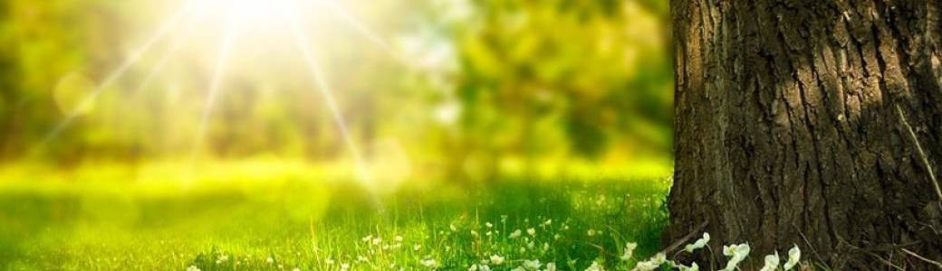 Stage Renforcer la confiance et l'estime de soi