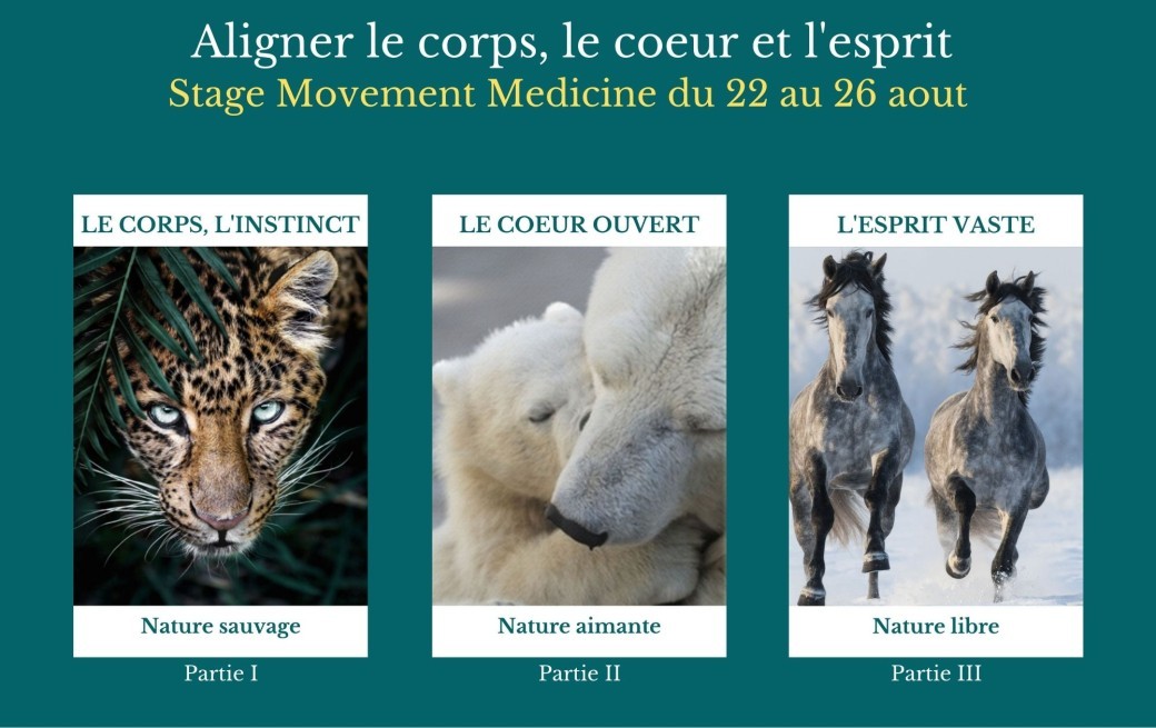 stage résidentiel du 22 aout au 26 aout