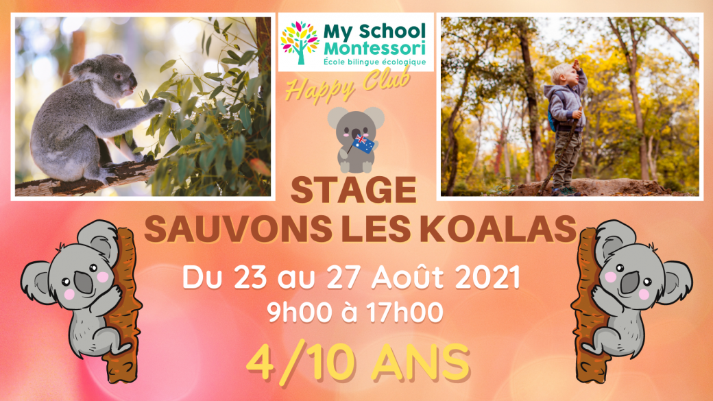 Stage Sauvons les Koalas 4/10 ans