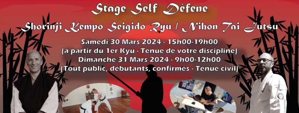 Stage Shorinji Kempo Seigido Ryu - Nihon Tai Jutsu