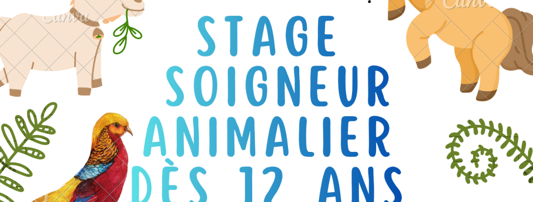 Stage soigneur animalier 12 ans et +