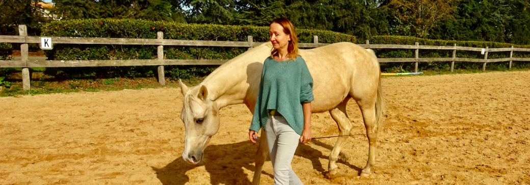 Stage sophrologie et développement personnel avec les chevaux