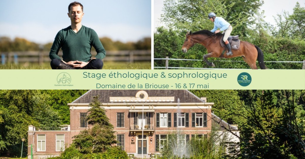 Stage Sophrologie & Éthologie avec Romain Basmaison x Philippe Richard