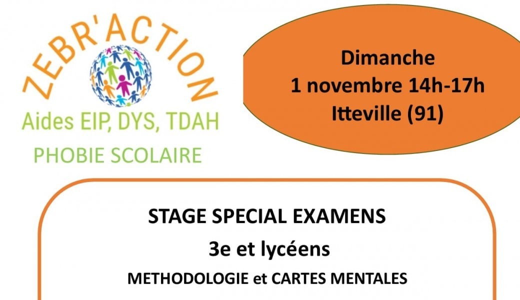 STAGE SPECIAL EXAMEN méthodologie et cartes mentales 4e/3e et Lycéens