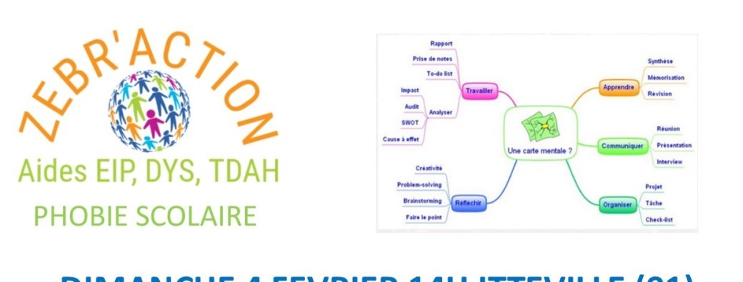 STAGE SPECIAL EXAMEN méthodologie et cartes mentales 4e/3e et Lycéens