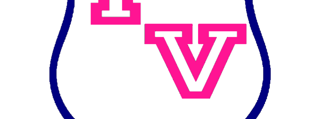 Stage sportif AS Collège Paul Valéry