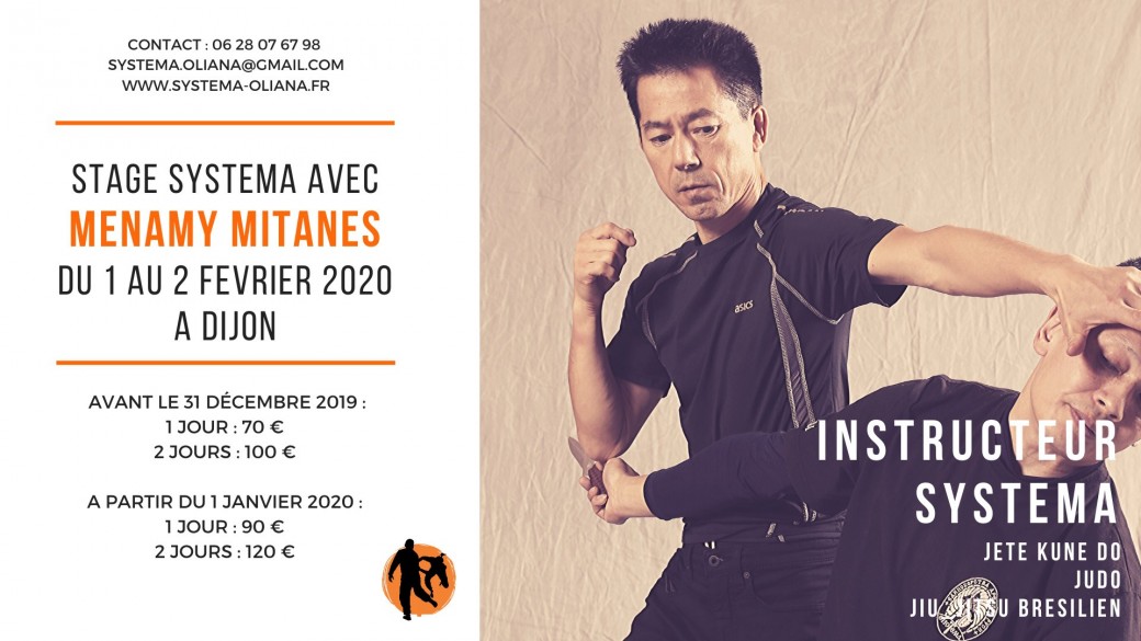Stage Systema avec Menamy Mitanes