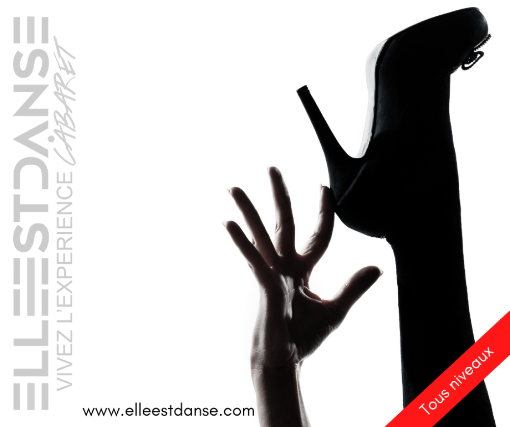 Stage THÉMATIQUE "Chair Dance 50 shades" ROQUES (31)