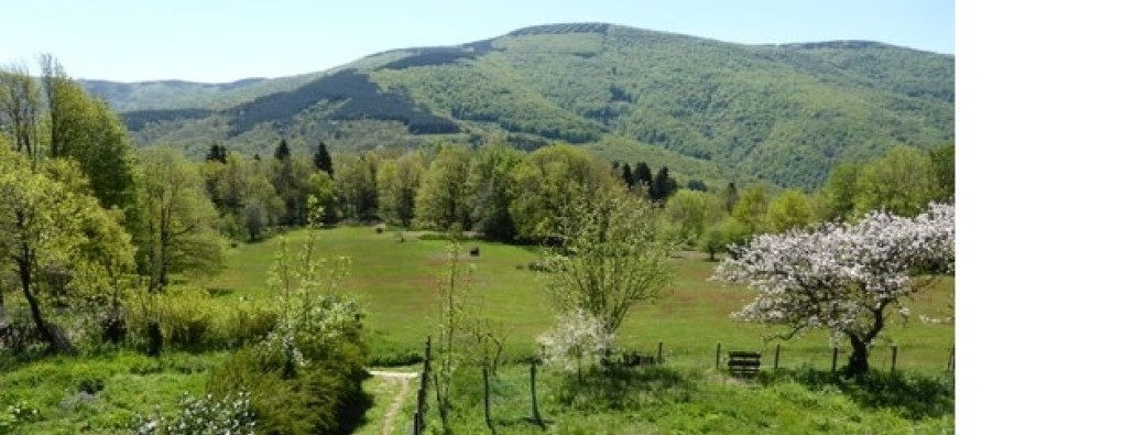 STAGE "THEATRE ET QI GONG" du 12 au 17 avril 2027