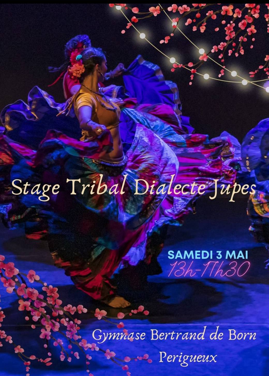 Stage Tribale Dialecte Jupes 