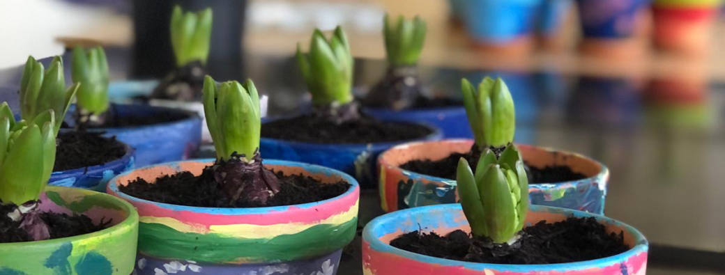 Stage vacances février (S2)