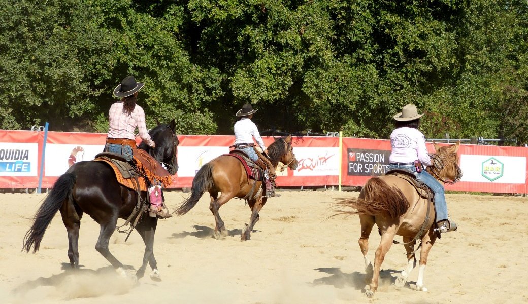 Stage Western Horse avec Martine Pourras