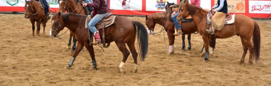 Stage Western Horse avec Martine Pourras