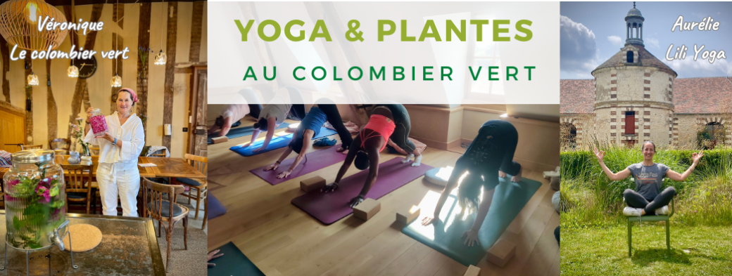 Stage yoga et plantes aromatiques