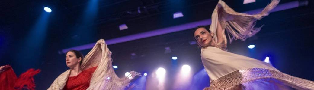 Stages danse Flamenco du 24 au 29 Août 2020