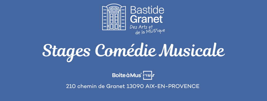 Stage Comédie Musicale 