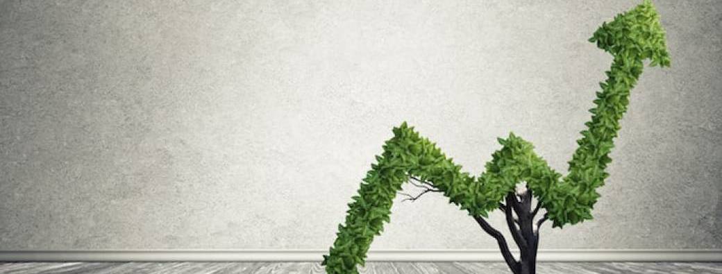 Start & Grow - Immobilier : comment investir dans la pierre simplement