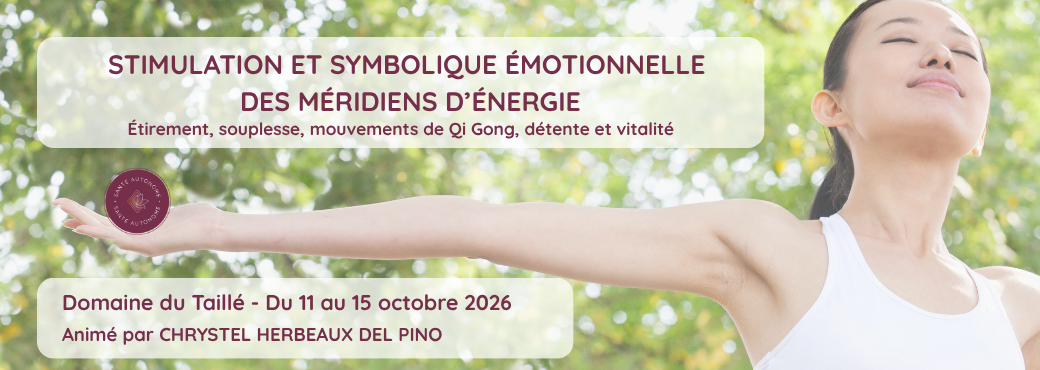 STIMULATION ET SYMBOLIQUE ÉMOTIONNELLE DES MÉRIDIENS