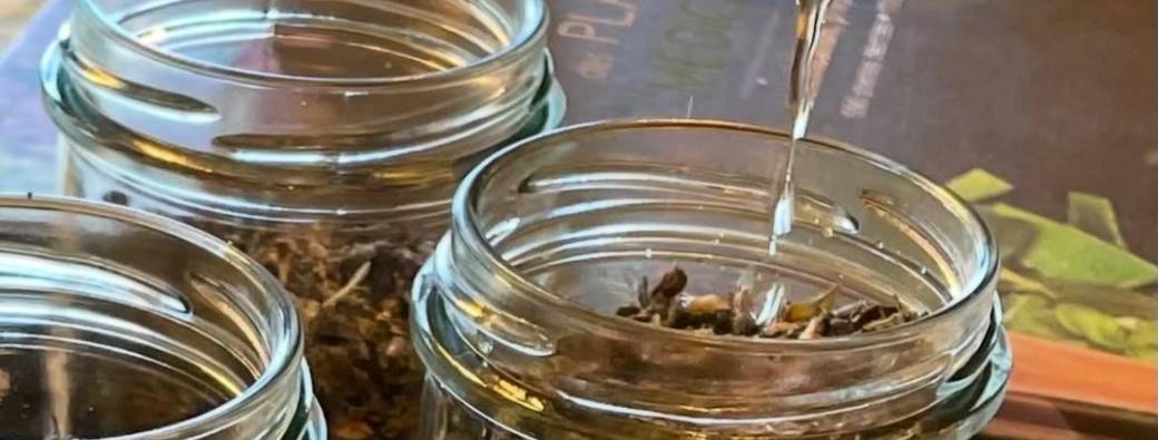 Stimuler notre immunité avec les plantes/ Atelier teintures alcooliques de racines