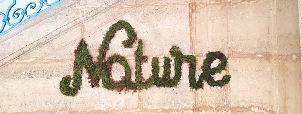 Street art végétal