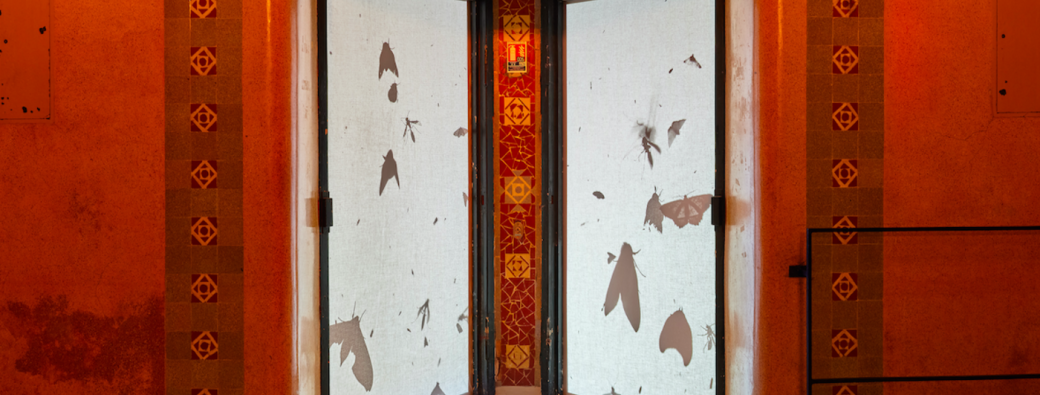 Studio-fabrique - Exposition "Weather"