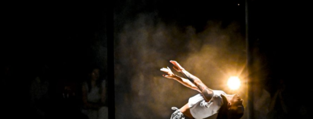 Suis-je bête ?! - Cie les Attentifs