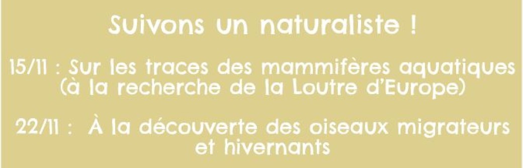 Suivons un naturaliste - les mammifères aquatiques (à la recherche de la Loutre d’Europe) 