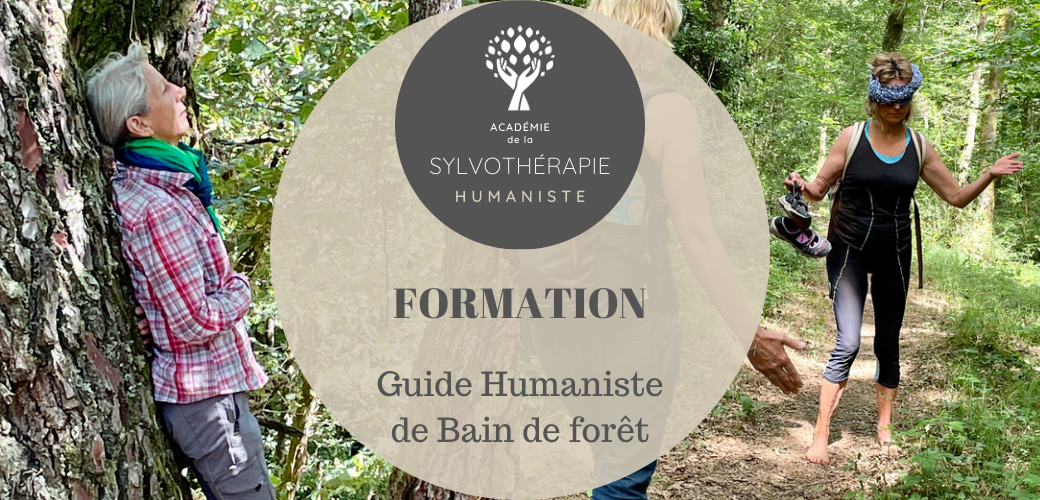 Module 2 - Formation "GUIDE HUMANISTE DE BAIN DE FORÊT - Supervision