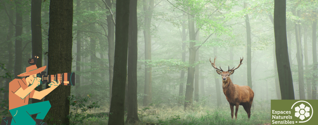 Sur la piste des animaux sauvages
