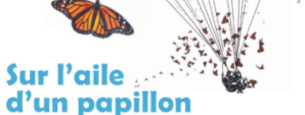Sur l'aile d'un papillon