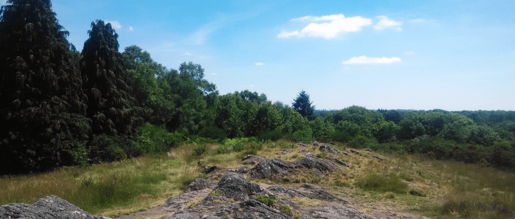 Sur le sentier des Fées, balade contée féerique