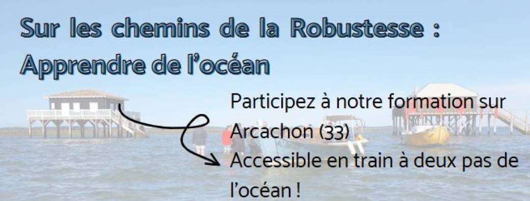 Sur les chemins de la Robustesse : Apprendre de l’océan