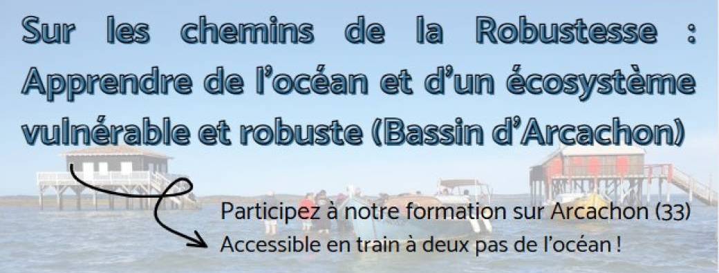 Sur les chemins de la Robustesse : Apprendre de l’océan