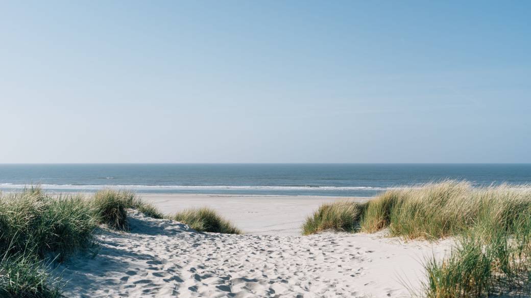 Surf & Beach session ! 