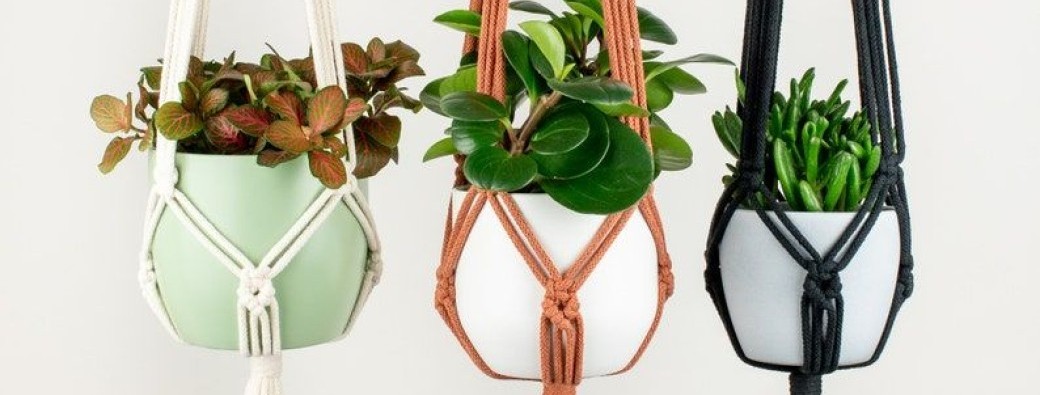 Suspension de plantes en MACRAMÉ / Toulon