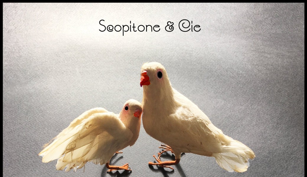 Scopitone&Cie : Suzanne aux oiseaux